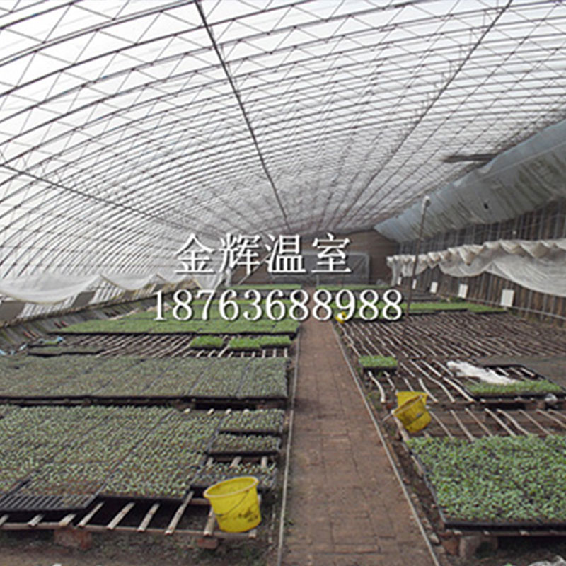 蔬菜大棚冰雹等強(qiáng)對(duì)流天氣應(yīng)該如何做好防護(hù)？