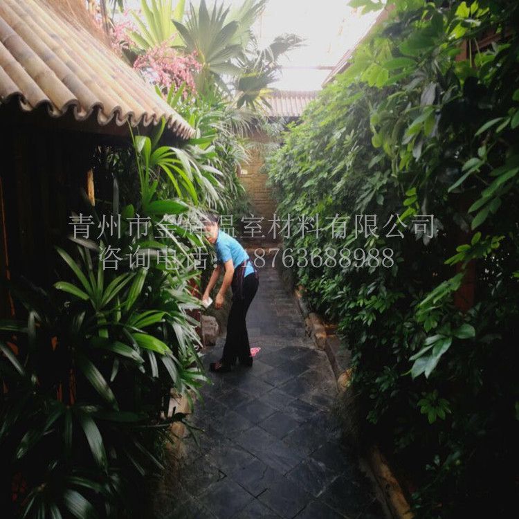 生態(tài)餐廳園藝溫室