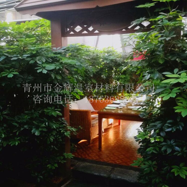 生態(tài)餐廳園藝溫室